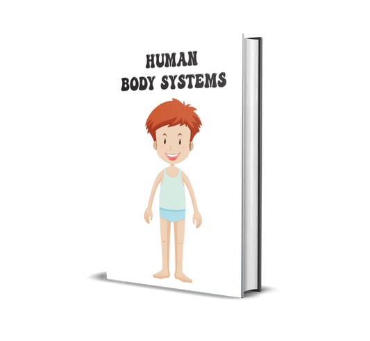 Human Body Systems